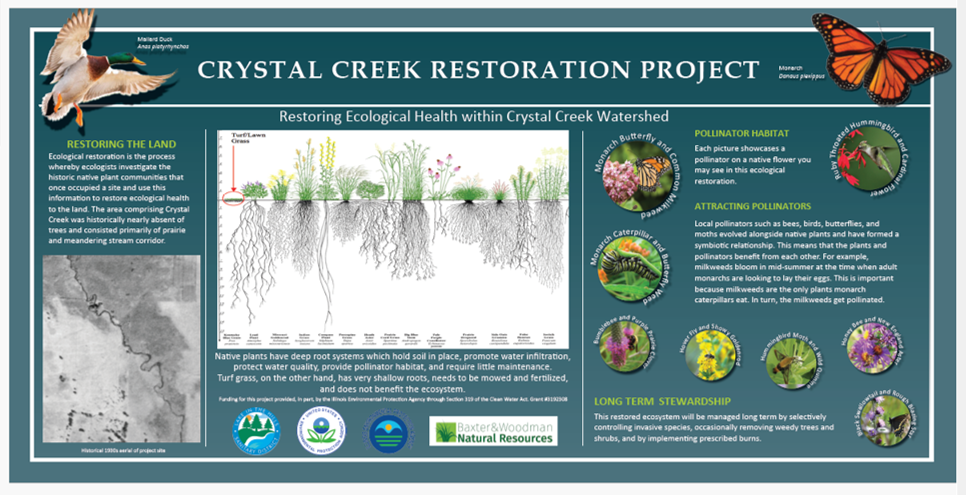 Crystal Creek Restoration